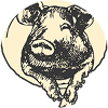 bull icon